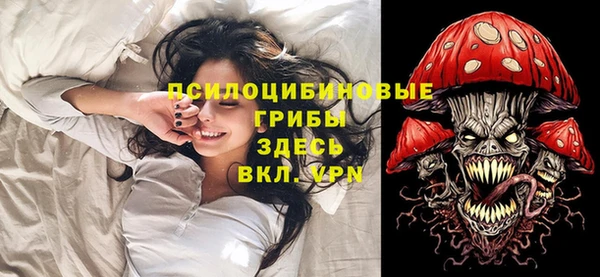 spice Абинск