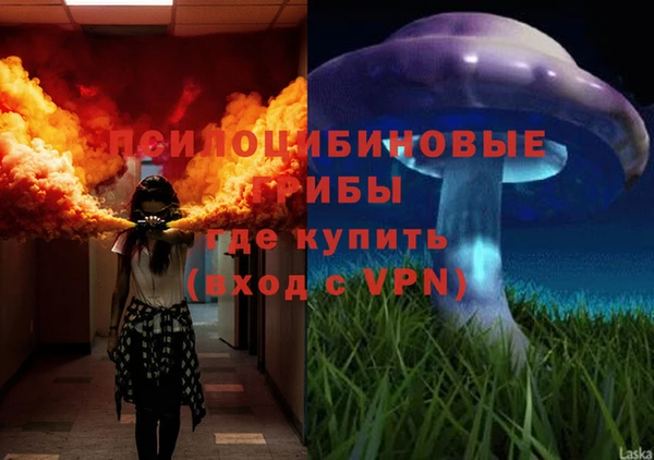 сатива Абаза