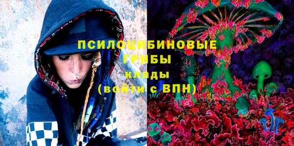 синтетический гашиш Алексин