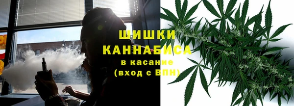 сатива Абаза