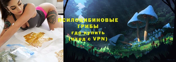 сатива Абаза