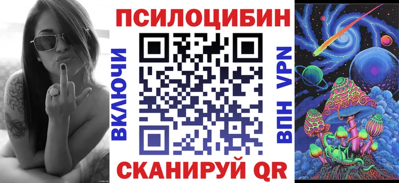 магазин продажи   Костомукша  Псилоцибиновые грибы Cubensis 
