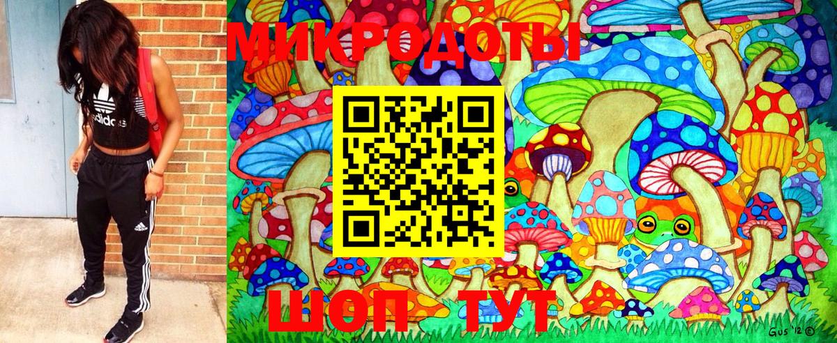 Псилоцибиновые грибы мухоморы Костомукша